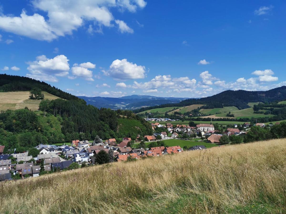 Goldener Adler Oberried - Hotel & Appartements Bagian luar foto